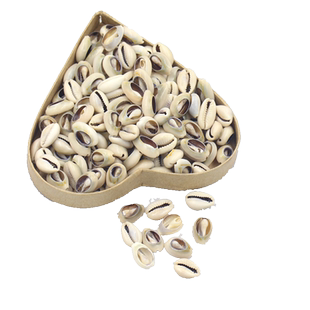 100个包邮天然装饰金边螺小贝壳切片手工DIY项链手串服装配饰材料