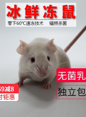 无菌顺丰包邮真空包装猪鼻小白鼠