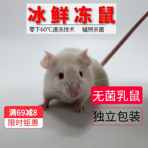 无菌顺丰包邮真空包装猪鼻小白鼠