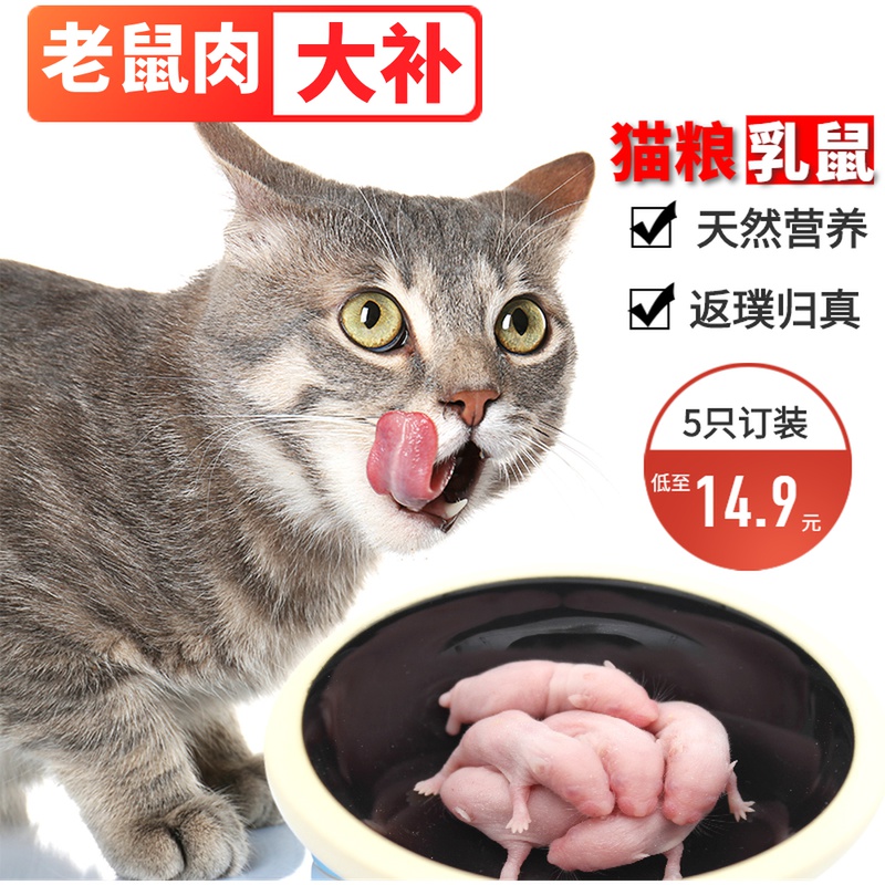 天然牛磺酸生肉乳鼠小猫咪粮高蛋白幼猫孕发腮零食小白鼠肉干包邮