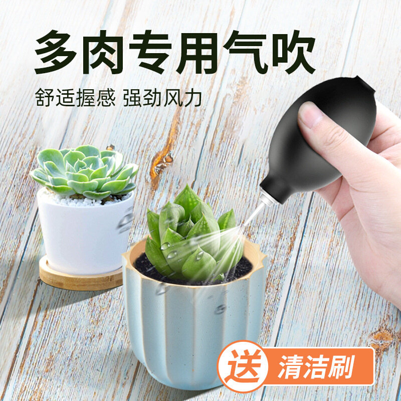 速发多肉工具吹气金属清洁清洗气吹除尘工具干净镜头手动单反打扫