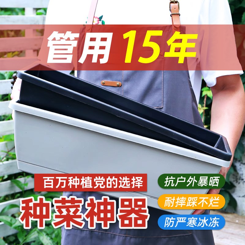速发长方伦塑料花专草莓种植盆家庭种菜盆台种菜盆用箱长条霍形神