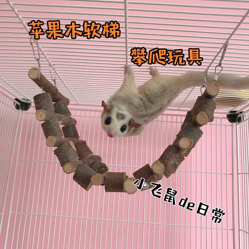 速发鼠软梯 蜜袋鼯小宠攀爬磨牙玩具 松木仓鼠花枝松鼠用品