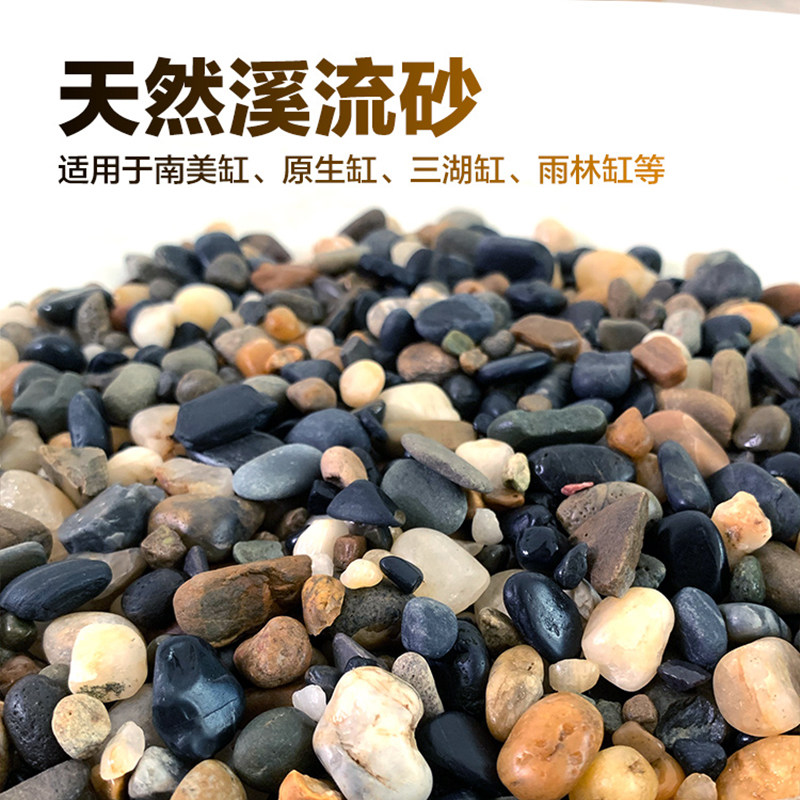 速发溪流石原生鱼缸砂景底造溪大沙流矶砂南美水草缸龟缸雷龙底沙