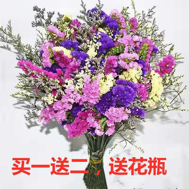 速发云南干花花束勿忘我满天星客厅摆件摆设大束真花送人生日礼物