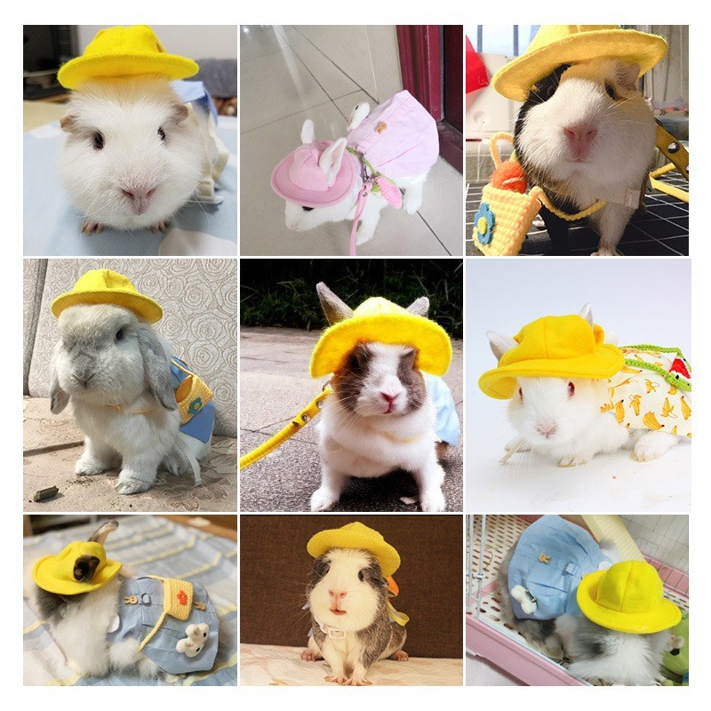 速发遛兔子猪兔服专衣绳子用品用兔溜兔绳外出用品