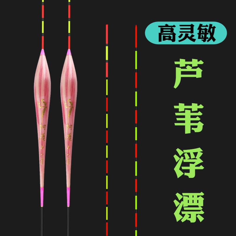 速发芦苇高灵敏小碎目长走鱼抗风浪尾水加粗鲤漂轻口