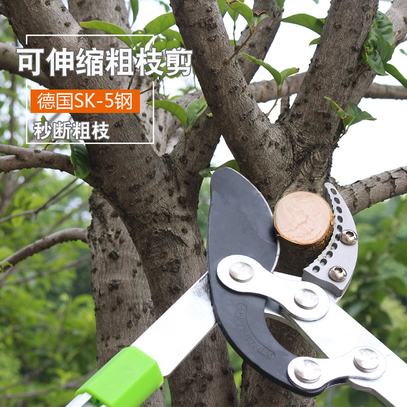 速发强剪粗枝剪大力力刀高空工修剪树枝园林果树修枝剪刀省力园艺
