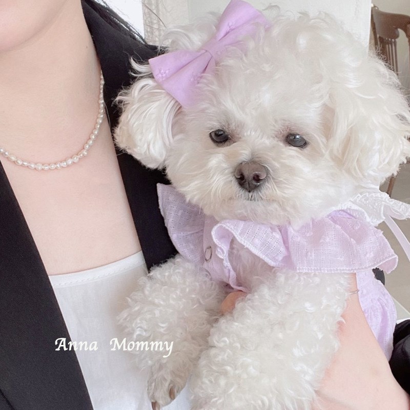速发子服春夏裙装服衣比熊泰迪博美小型犬法斗连衣裙猫咪可爱