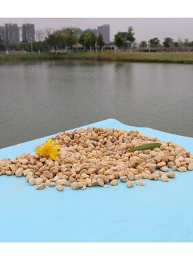 速发广州黑水胶粘色磨石绿道水洗地坪石子砾坪透水混凝土地石鹅卵