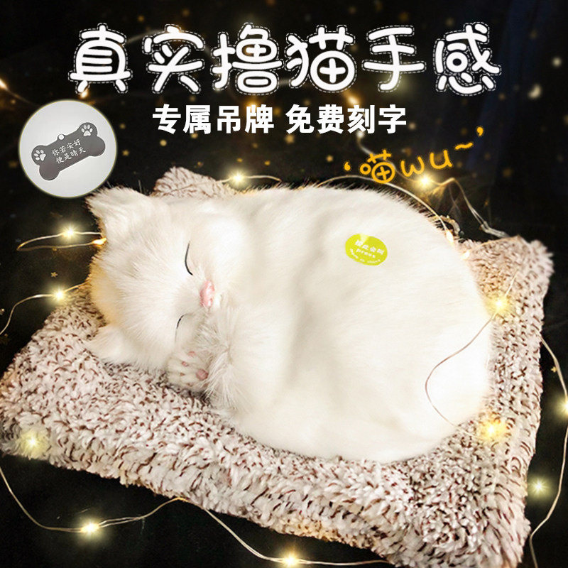 速发18岁成日礼高年礼物送闺蜜好友实用的小众生级感毕业可爱猫摆