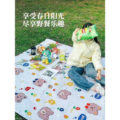 速发野餐垫厚潮垫加防户外地垫露营春游垫子布睡炊野垫防水坐垫可