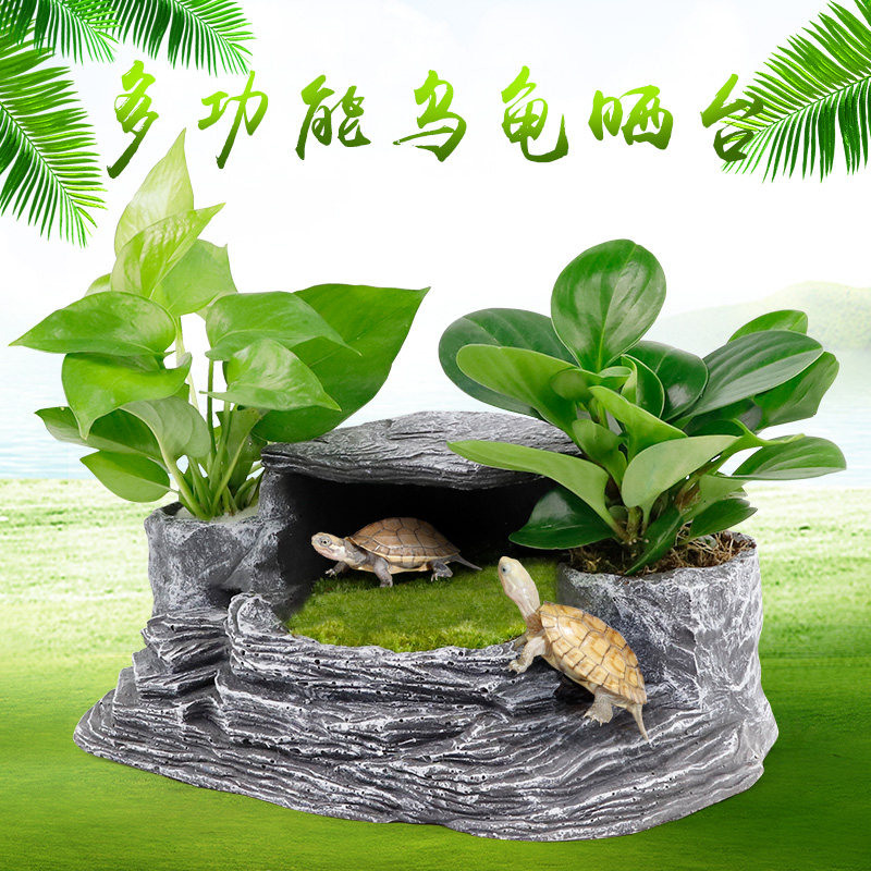 速发乌龟晒台避台石头躲避头龟晒背石大号造景石屋躲爬洞沉木树桩