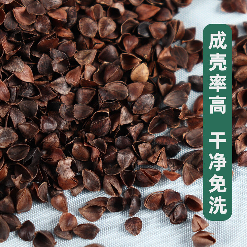 速发ALJ6荞麦皮散装10斤免洗护赤峰枕头婴儿荞麦壳硬枕芯特决明子