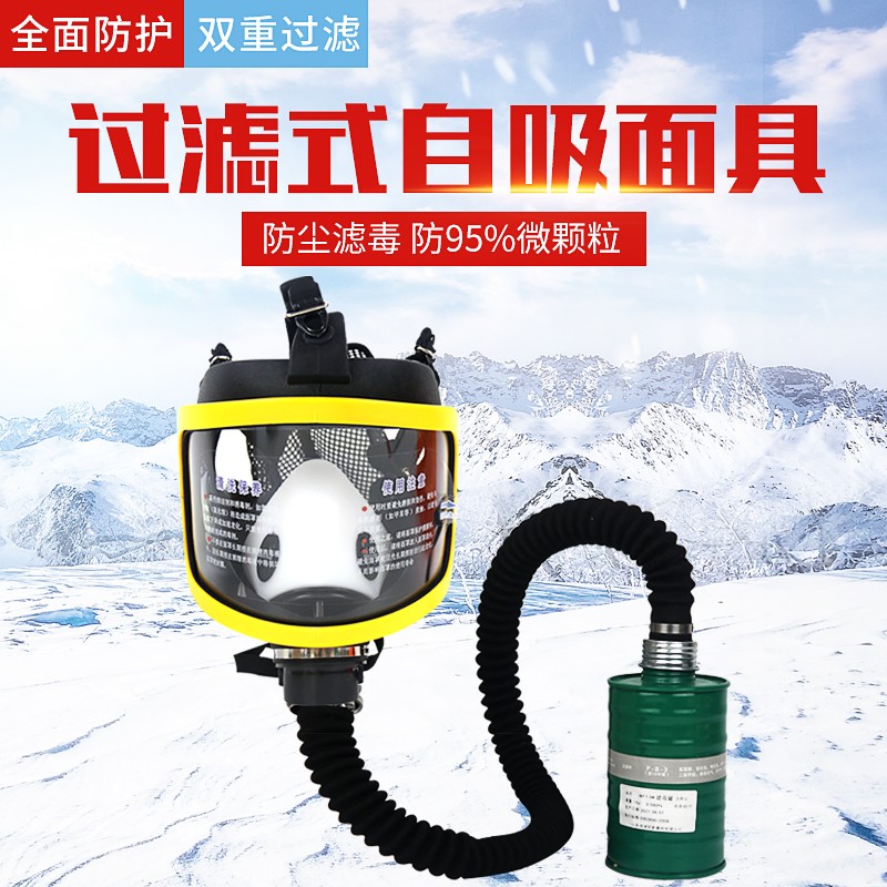 速发防毒面具罩防粉尘喷漆化工甲罩虑脸防护面醛透明全罐头罩