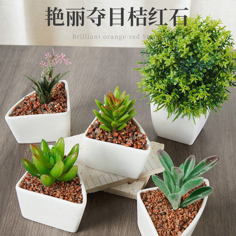 速发源头工缸鹅卵石雨花石水院石子庭磨铺路景观鱼厂桔红五彩石