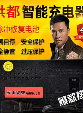 速发洪8电动车专用24V48412AH60V6VV72V80V都4V6V20A通用