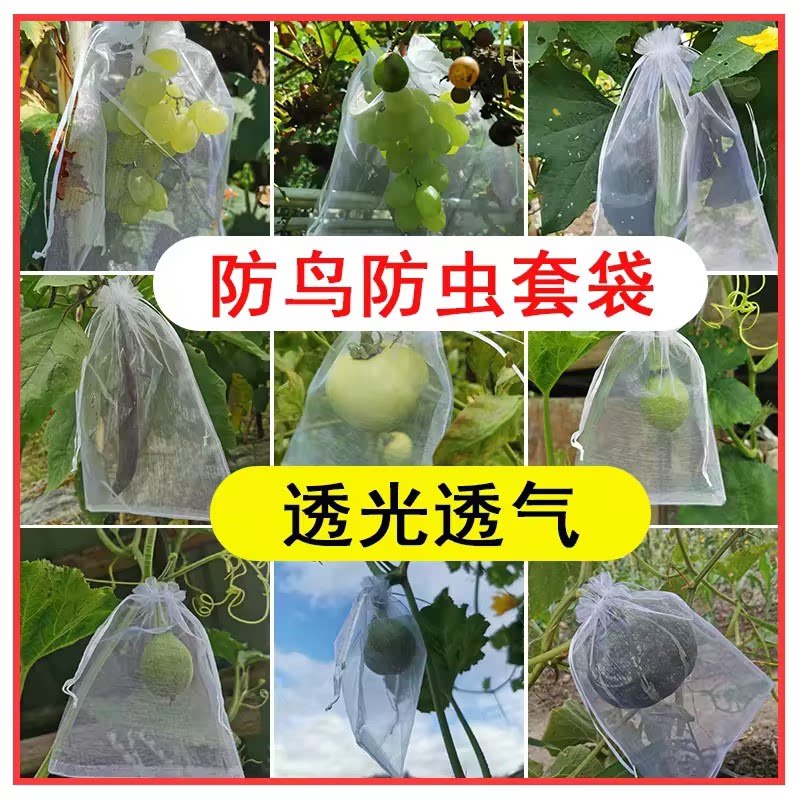 水果套袋防鸟防虫透气专用网袋葡萄无花果枇杷草莓杨桃子保护袋子