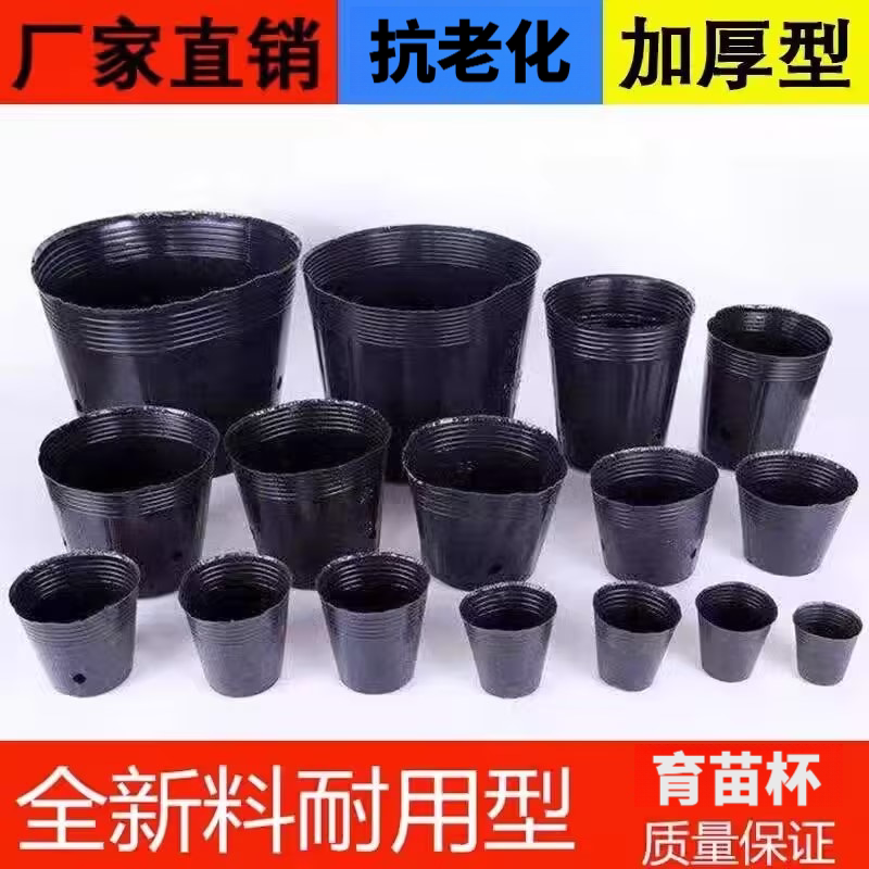 育苗盆加厚育苗杯一次性育苗袋耐用营养杯塑料花盆营养钵种植专用