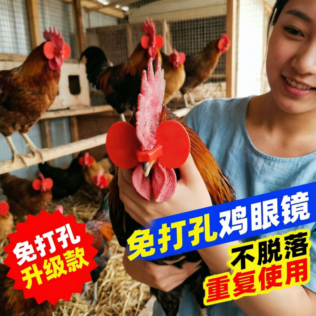 鸡眼镜防啄打架通用鸡用眼镜鸡眼镜眼罩防打架带孔大号土鸡公鸡眼