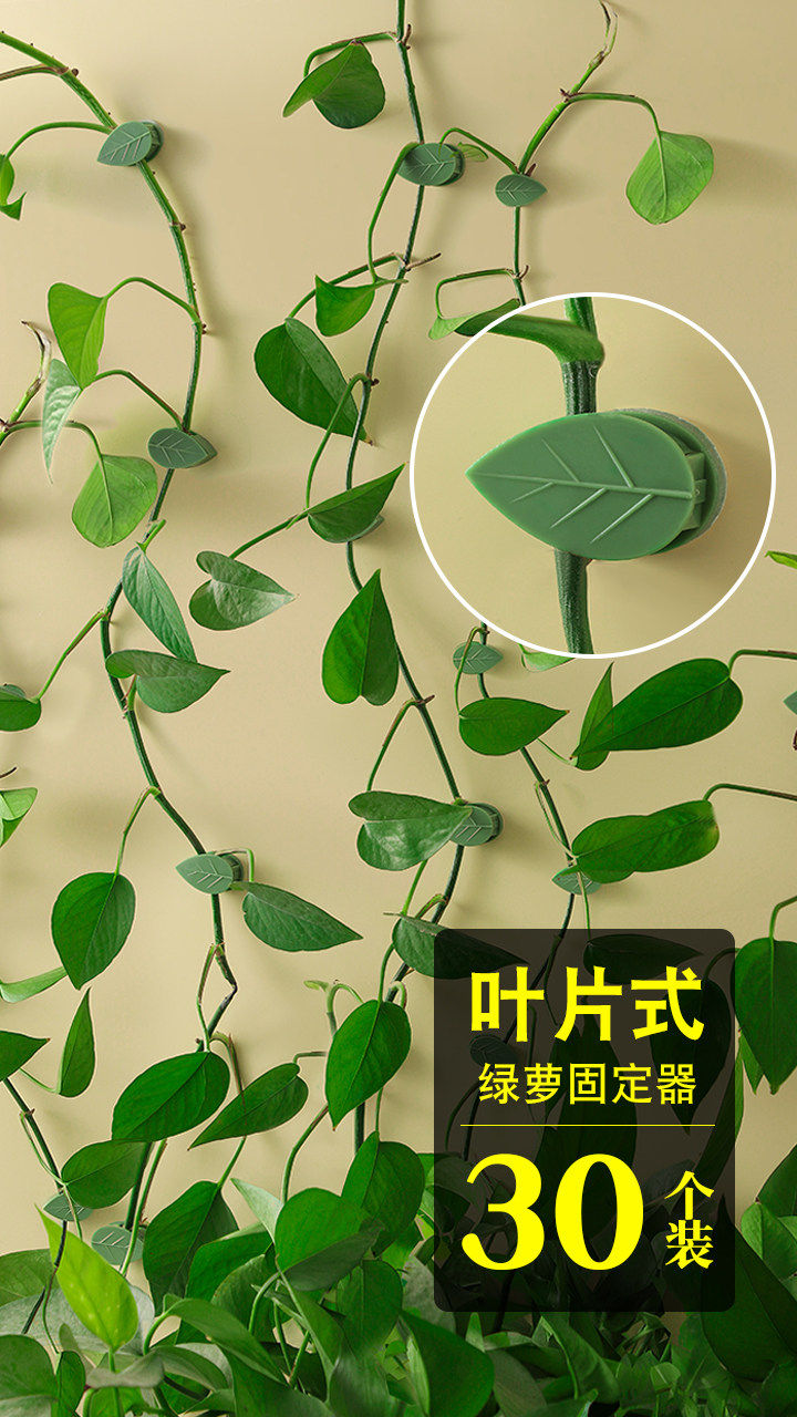 绿萝爬墙卡扣爬藤吸盘攀藤勾夹扣