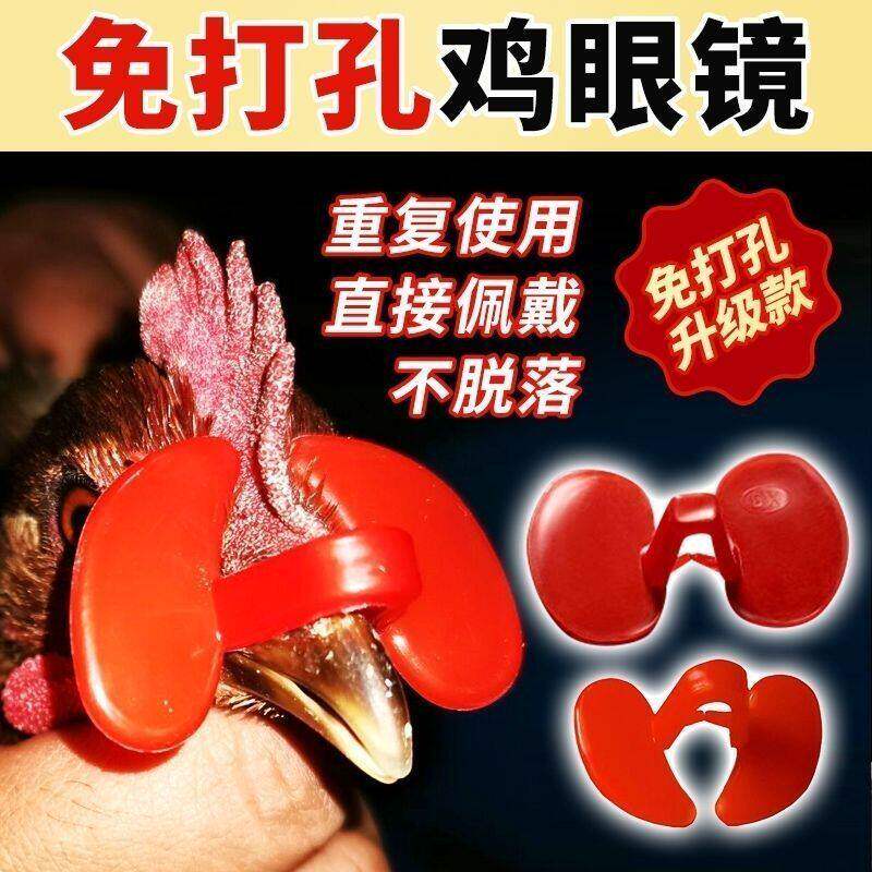 公鸡防啄眼镜山鸡山鸡眼罩卡式无栓防打架啄蛋免穿孔双梁小鸡神器