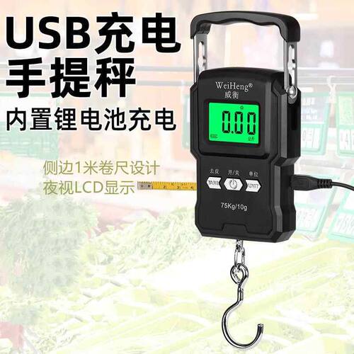 便携式电子手提秤高精度50kg家用行李称快递勾子秤买菜称重威衡