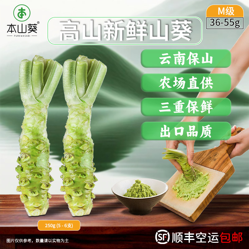 本山葵250g装M级新鲜山葵根现磨鲜芥末 用于日本料理餐厅烤肉鱼生