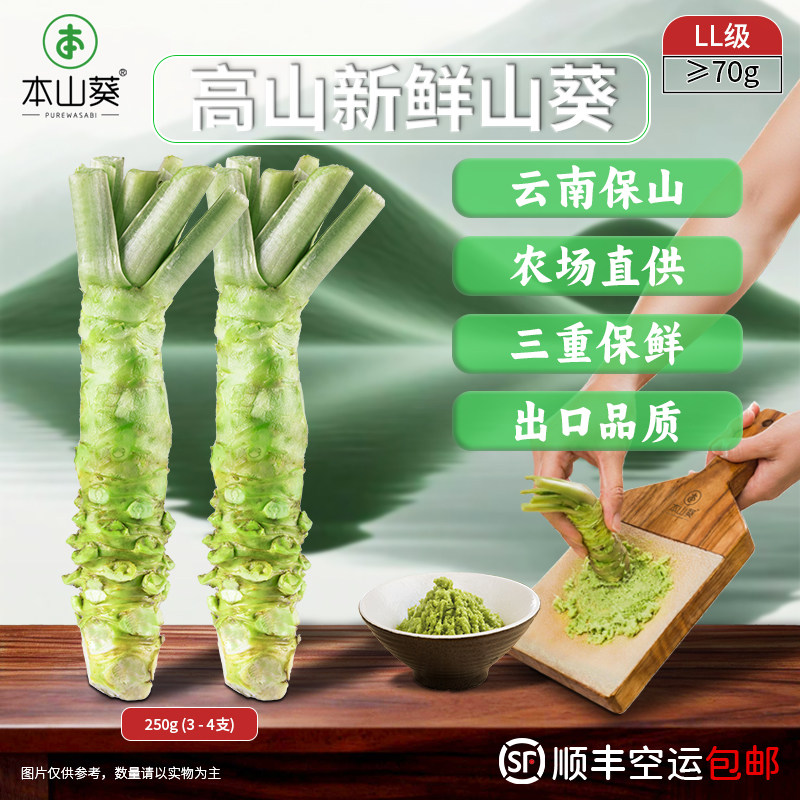 本山葵250g装LL级新鲜山葵根现磨鲜芥末用于日本料理餐厅寿司刺身