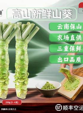 本山葵250g装LL级新鲜山葵根现磨鲜芥末用于日本料理餐厅寿司刺身