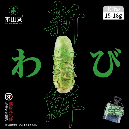 本山葵新鲜山葵厂家直销确保新鲜