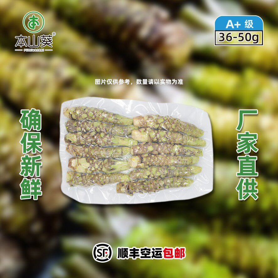 本山葵云南新鲜山葵A+级250g商用出口日本比芥末好搭日料寿司刺身