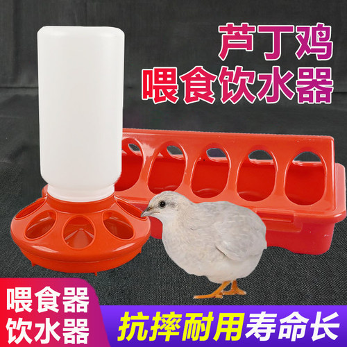 芦丁鸡喂食器多孔饮水器