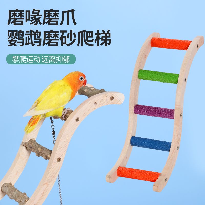 虎皮牡丹鹦鹉玩具小鸟互动爬梯攀爬绳秋千配件用品云梯木梯磨爪嘴