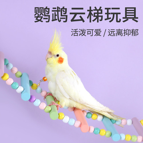 鹦鹉爬梯秋千玩具马卡龙云梯