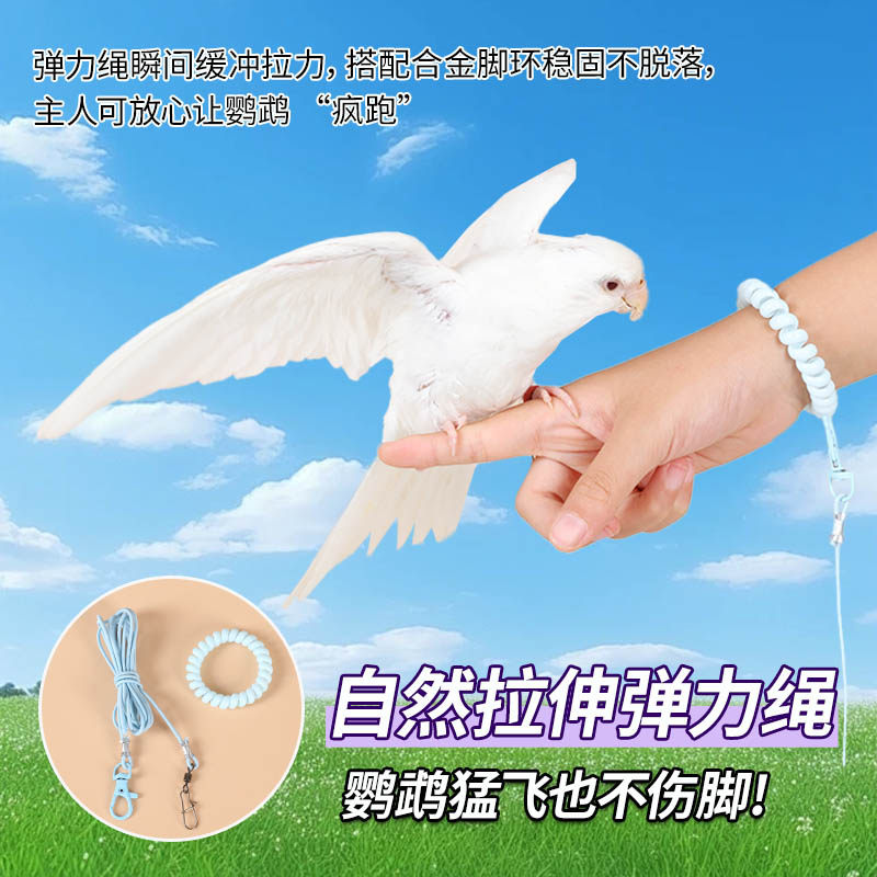 外出牵引绳玄凤虎皮牡丹文鸟喜鹊鹦鹉超轻放飞绳合金脚环不伤脚
