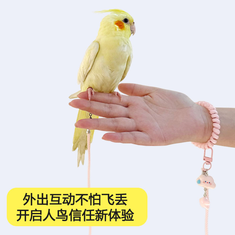 鹦鹉彩色放飞绳不伤脚玄凤虎皮小太阳牵引绳户外遛鸟神器其他配件