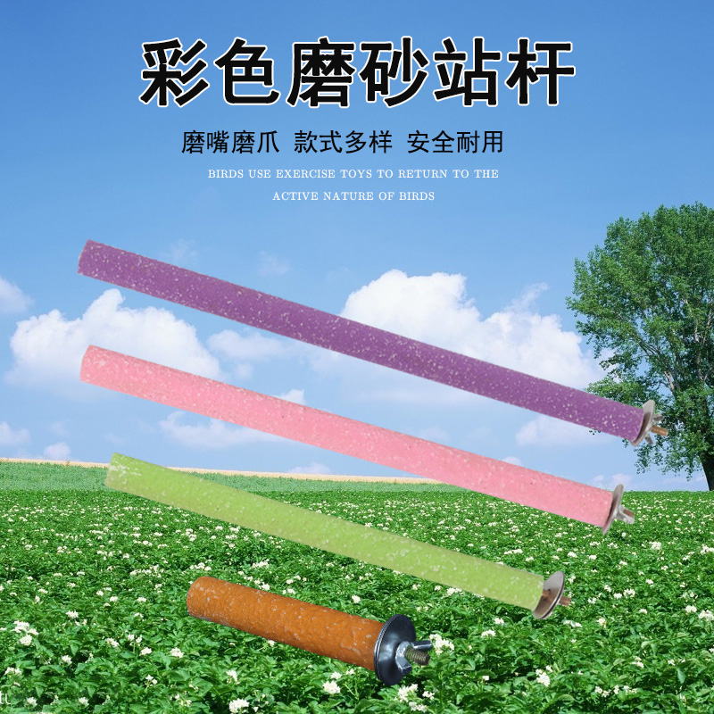 站杆磨牙棒千鸟配件八哥