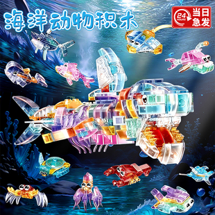 合體男孩小學生 兒童玩具益智3到6歲2025火爆透明海洋生物積木拼裝