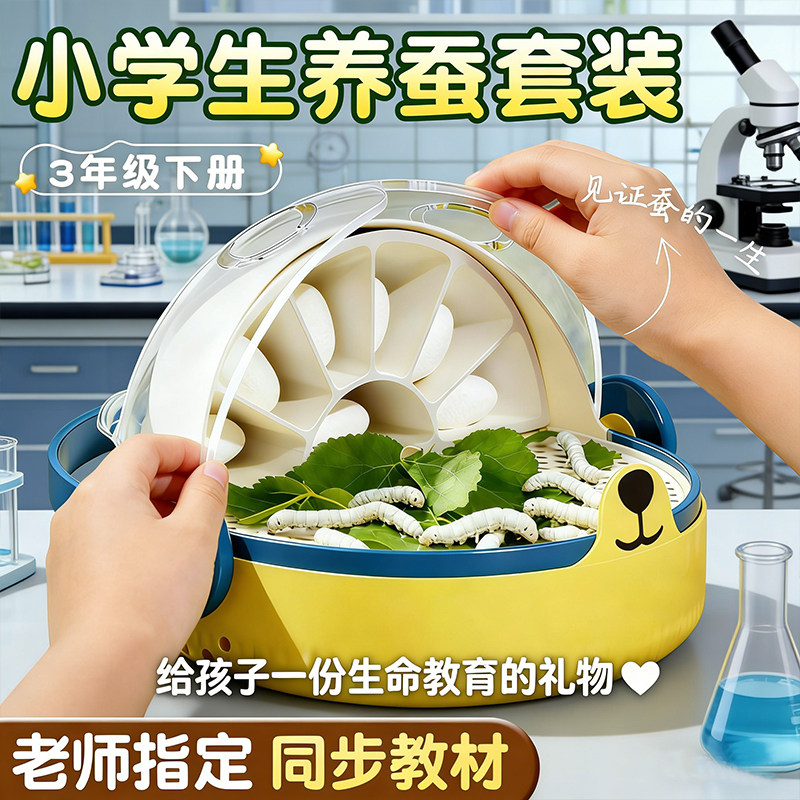 蚕卵蚕宝宝学生养蚕套装三年级蝉宝宝新鲜桑叶20粒活物幼虫蛹彩色