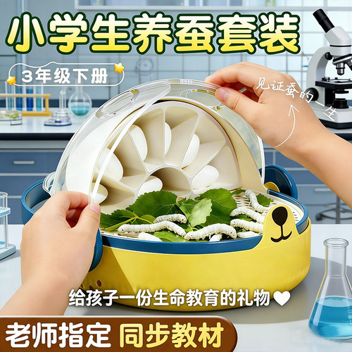 蚕卵蚕宝宝学生养蚕套装三年级