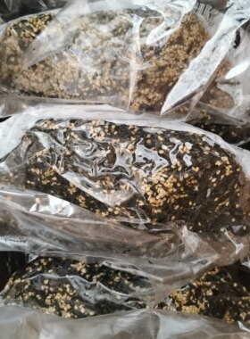 芝麻炒海苔250克x9袋连云港特产