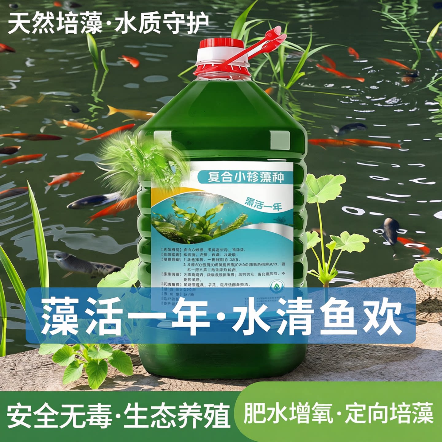 稳水调水复合小球藻种