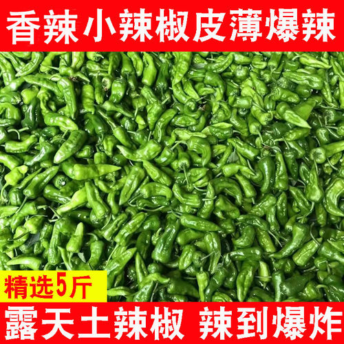露天农家土辣椒皮薄香辣脆爽