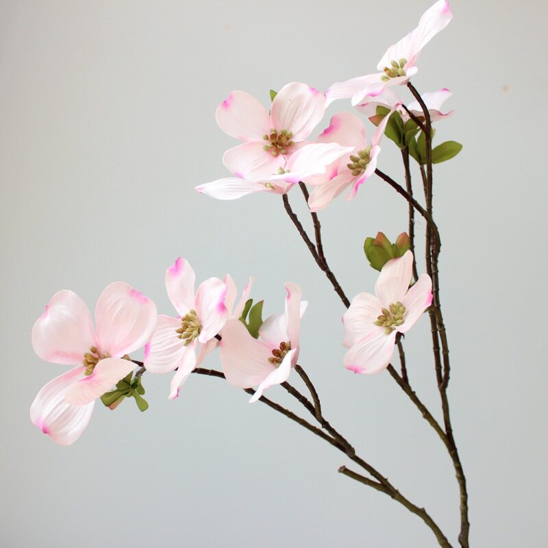 中式意境枸木花枸目花四