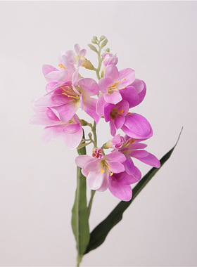 香雪兰仿真花假花手感保