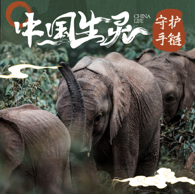 中国生灵动物追踪手链·闺蜜礼物·小众礼物·创意礼物