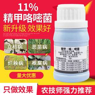 精甲咯嘧菌酯水稻拌种剂种子种衣剂花生棉花种子包衣剂农药杀菌剂