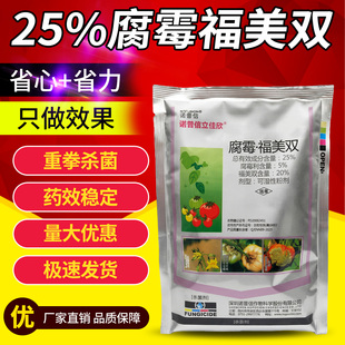 番茄灰霉病专用药腐霉利腐霉福美双蔬菜植物杀菌药农药大全杀菌剂
