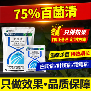 75%百菌清水稻大豆小麦白粉病叶斑病霜霉病炭疽病锈病农药杀菌剂
